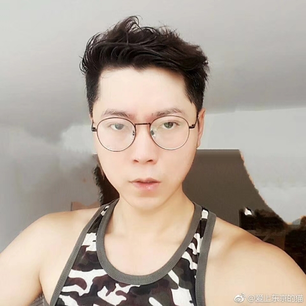 爱上东京的猫的照片