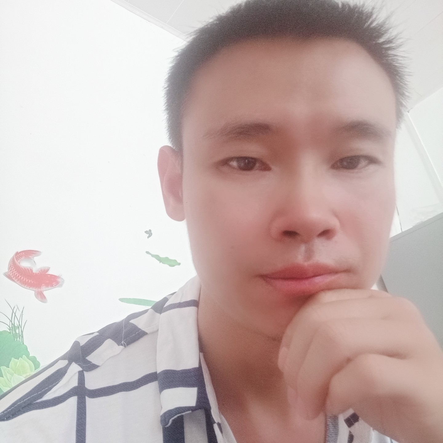 电脑蹁跹生动的照片