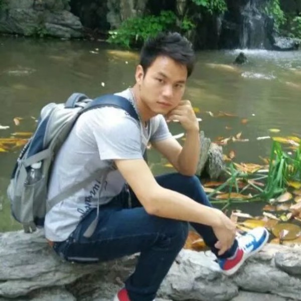 明亮小懒虫的照片