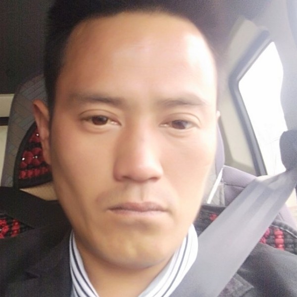 舒心给草莓的照片