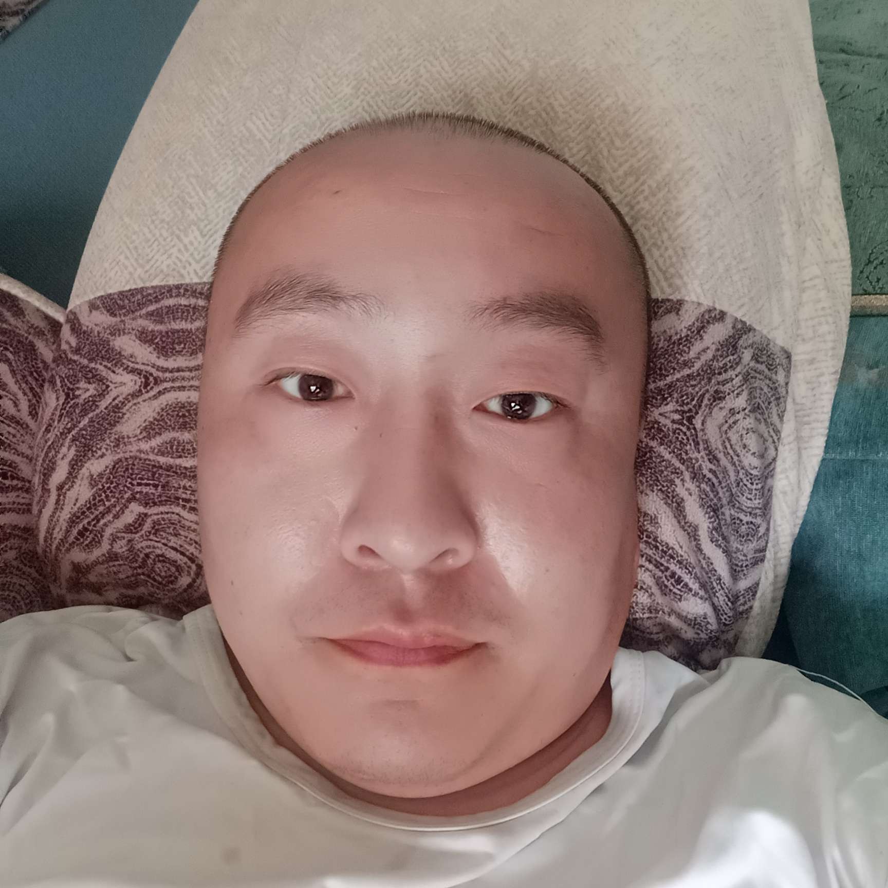 会游泳的兔子的照片