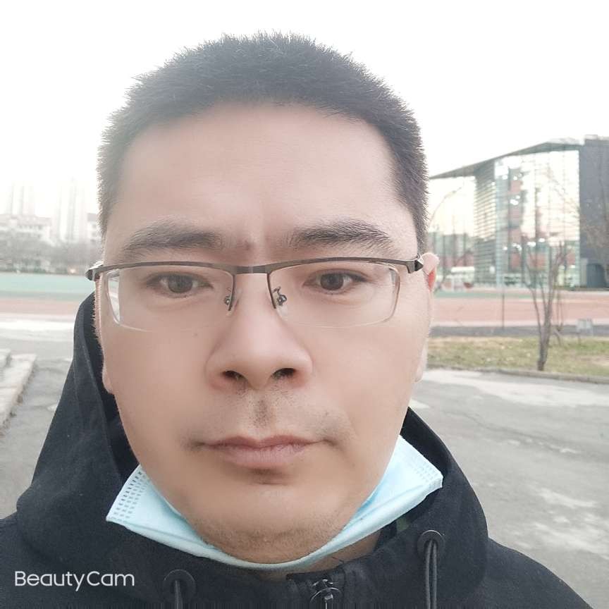 彩色拾忆犀牛的照片