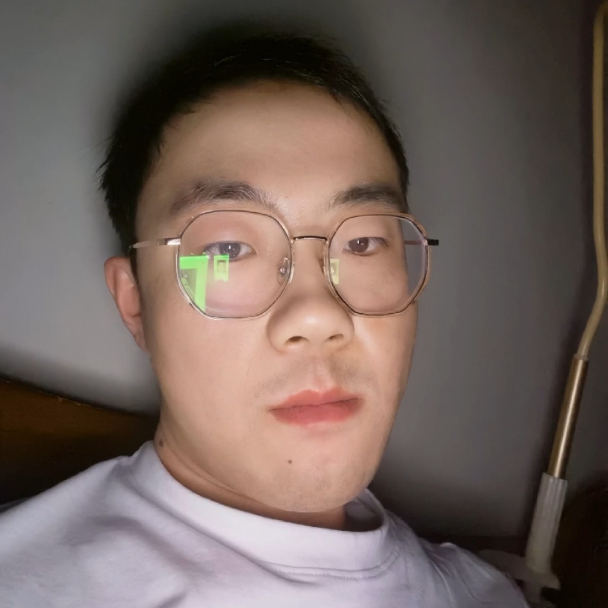 菠萝多么英俊的照片