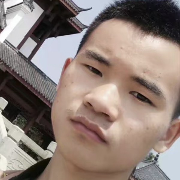 一只白的照片