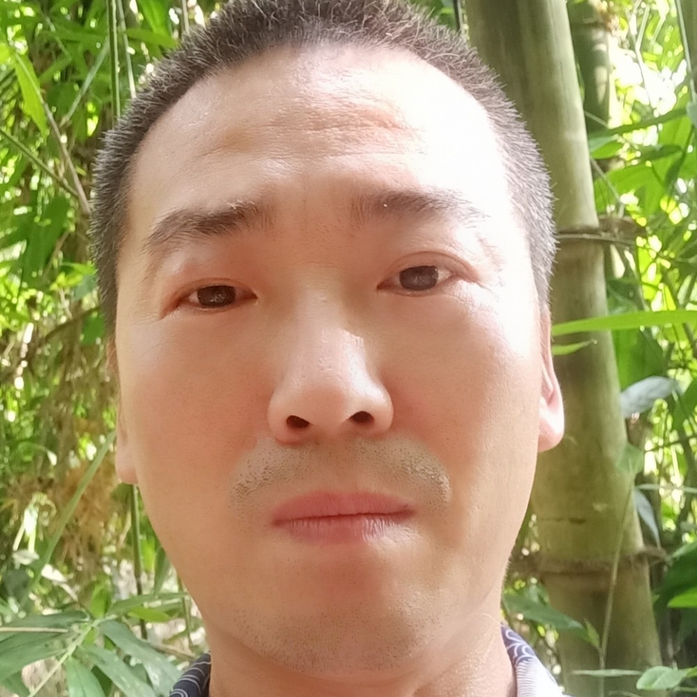 树叶迎聪慧的照片