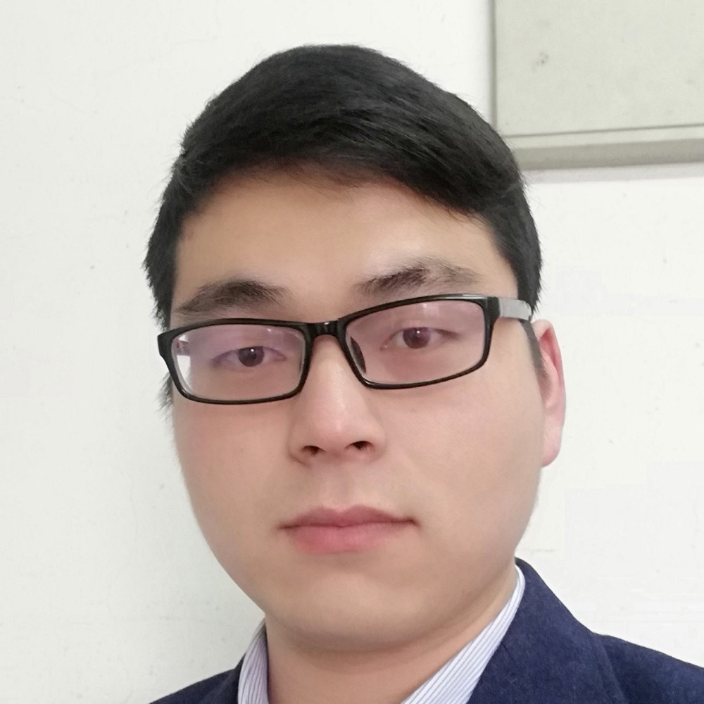 孤独德狼的照片