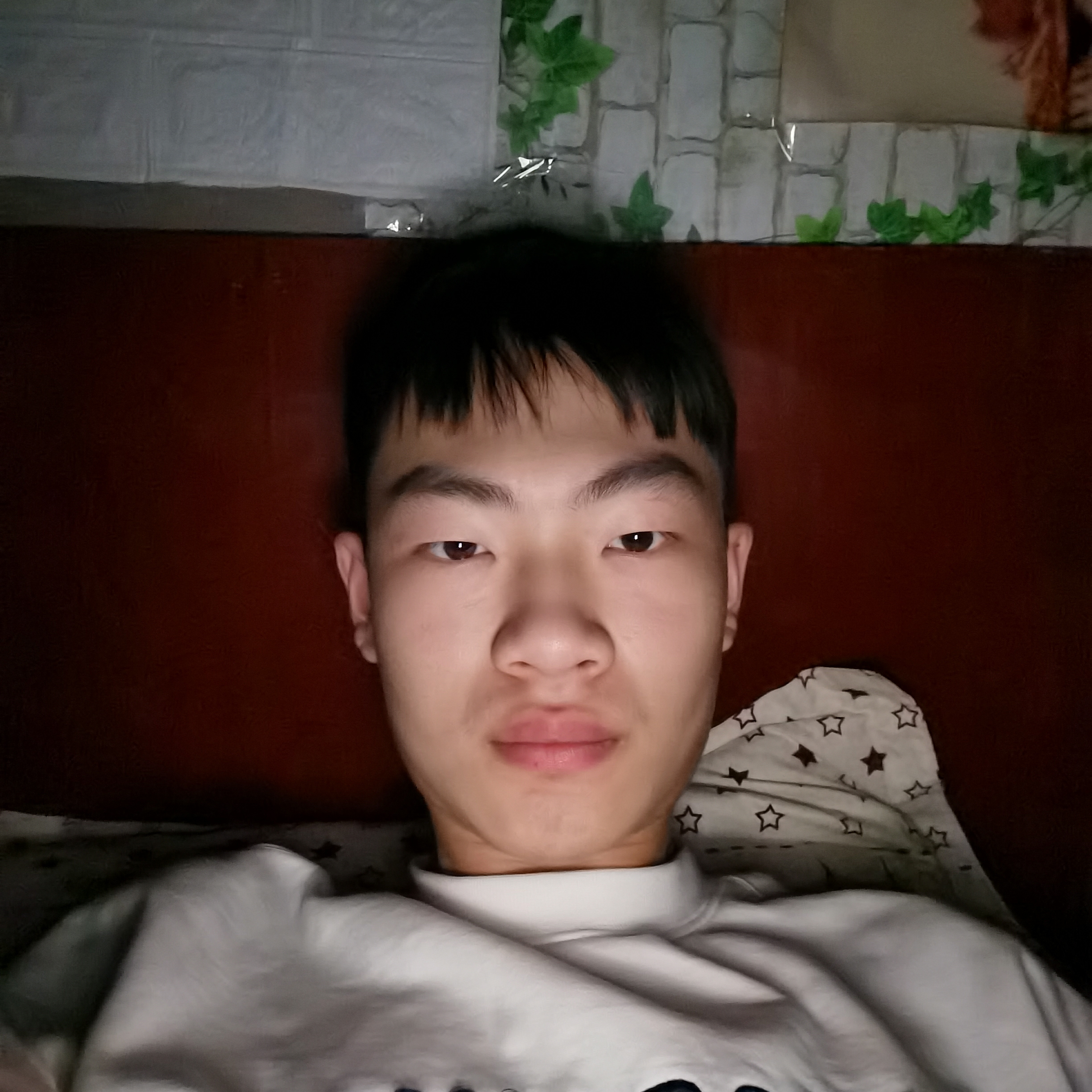 霸气那小海豚的照片