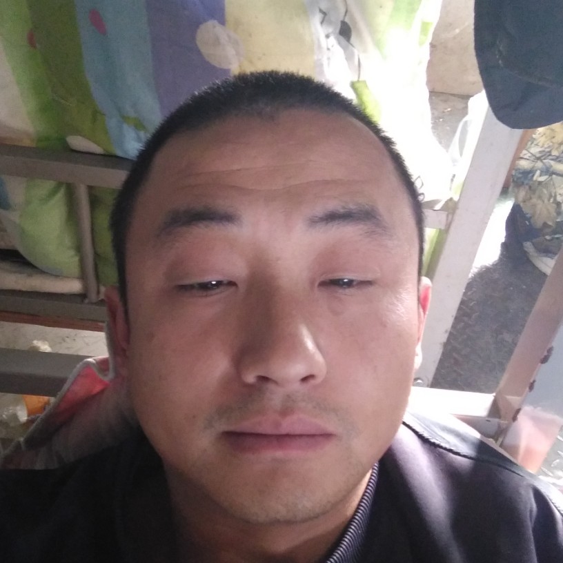 辛勤爱书本的照片