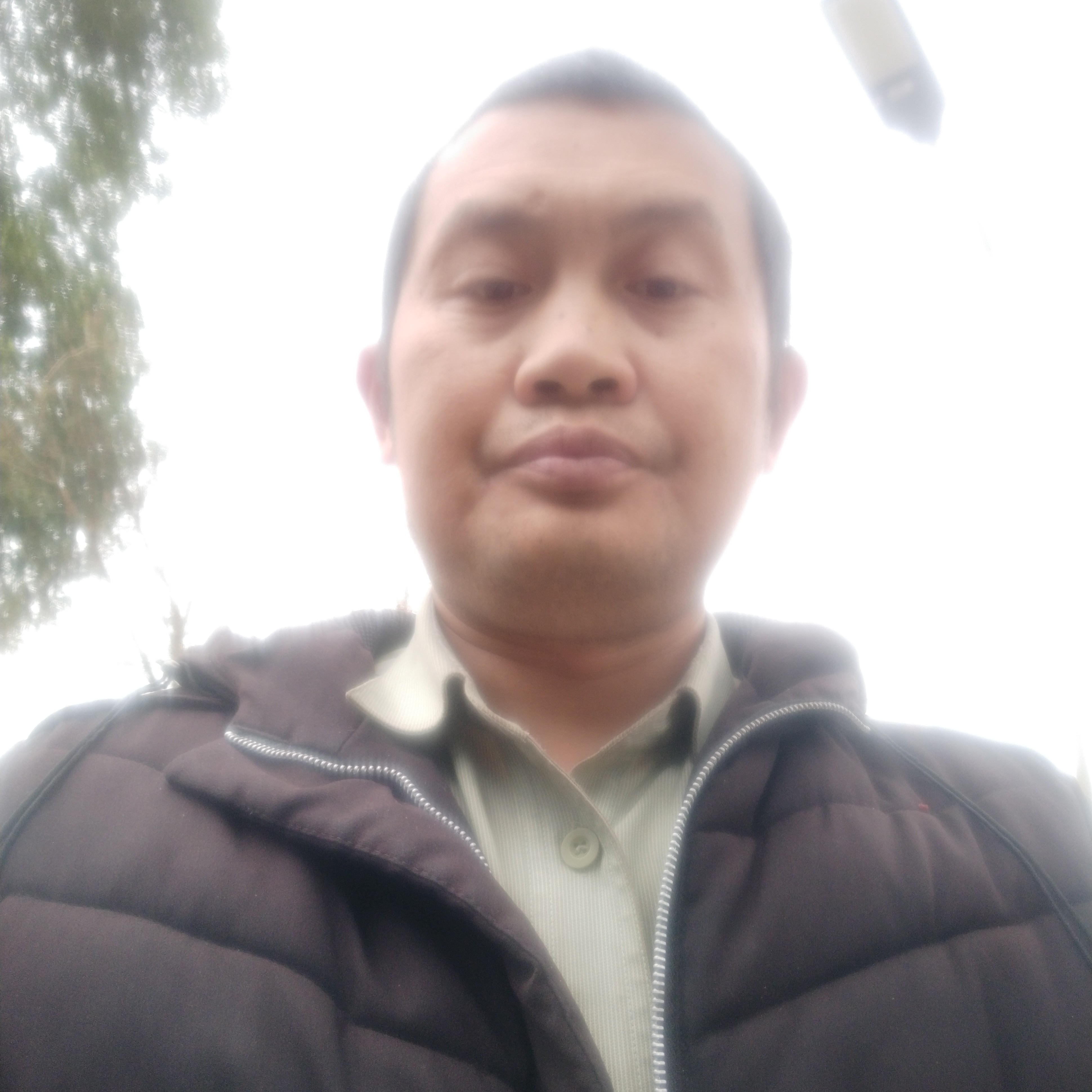 糖豆那跳跃的照片