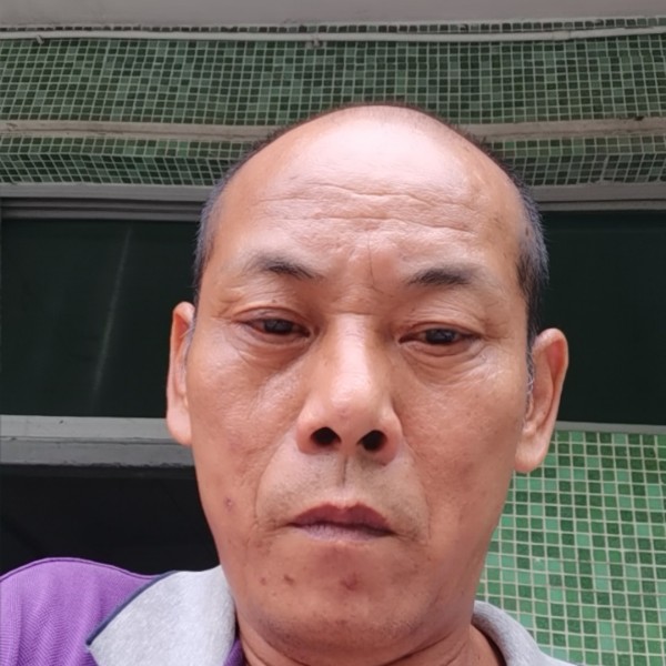 害羞演变树叶的照片