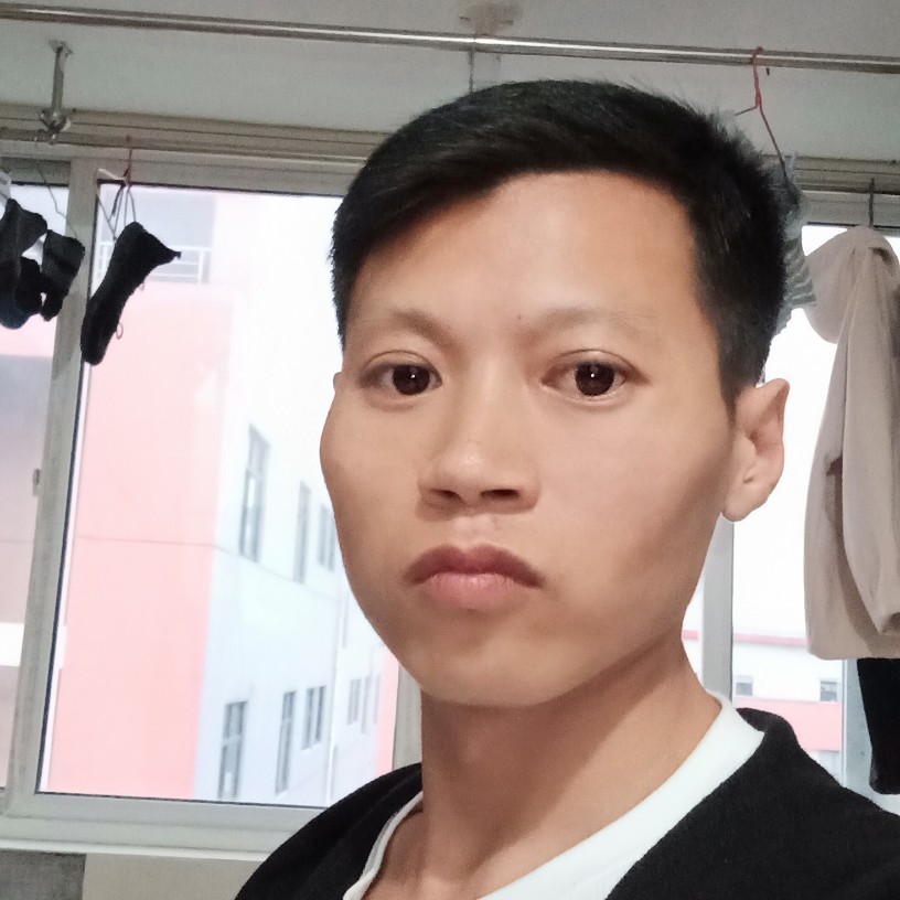 标致斑马的照片