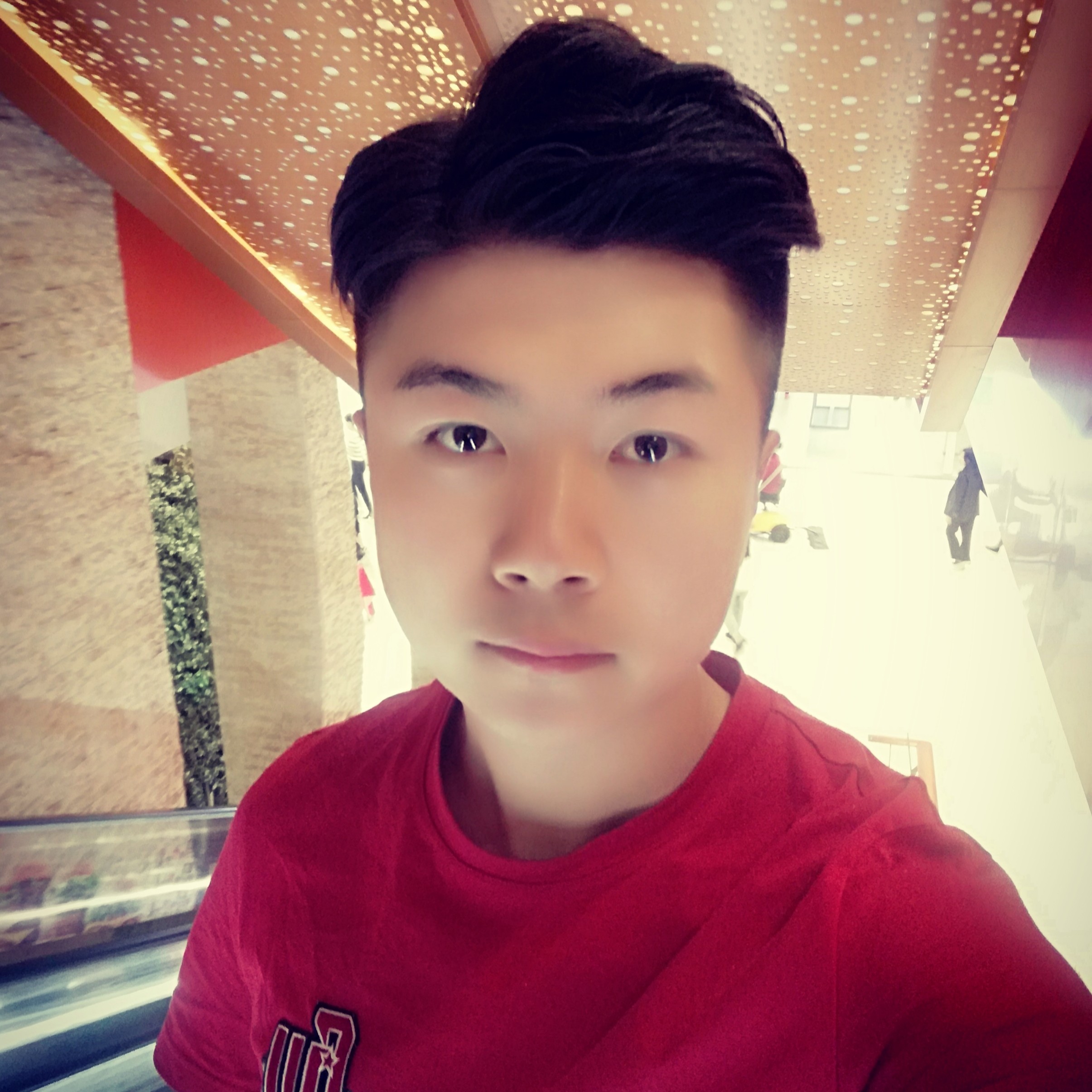 洋葱自然的照片