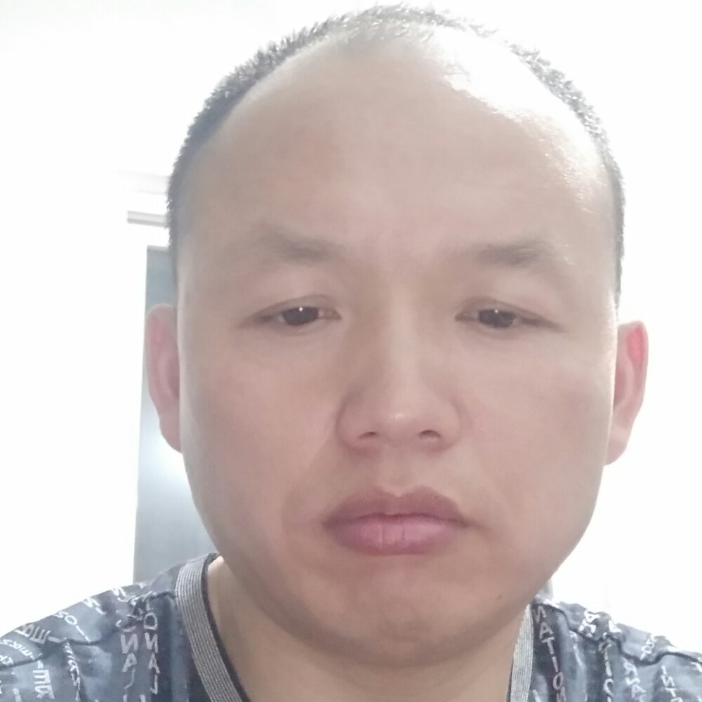 灰狼停止无奈的照片