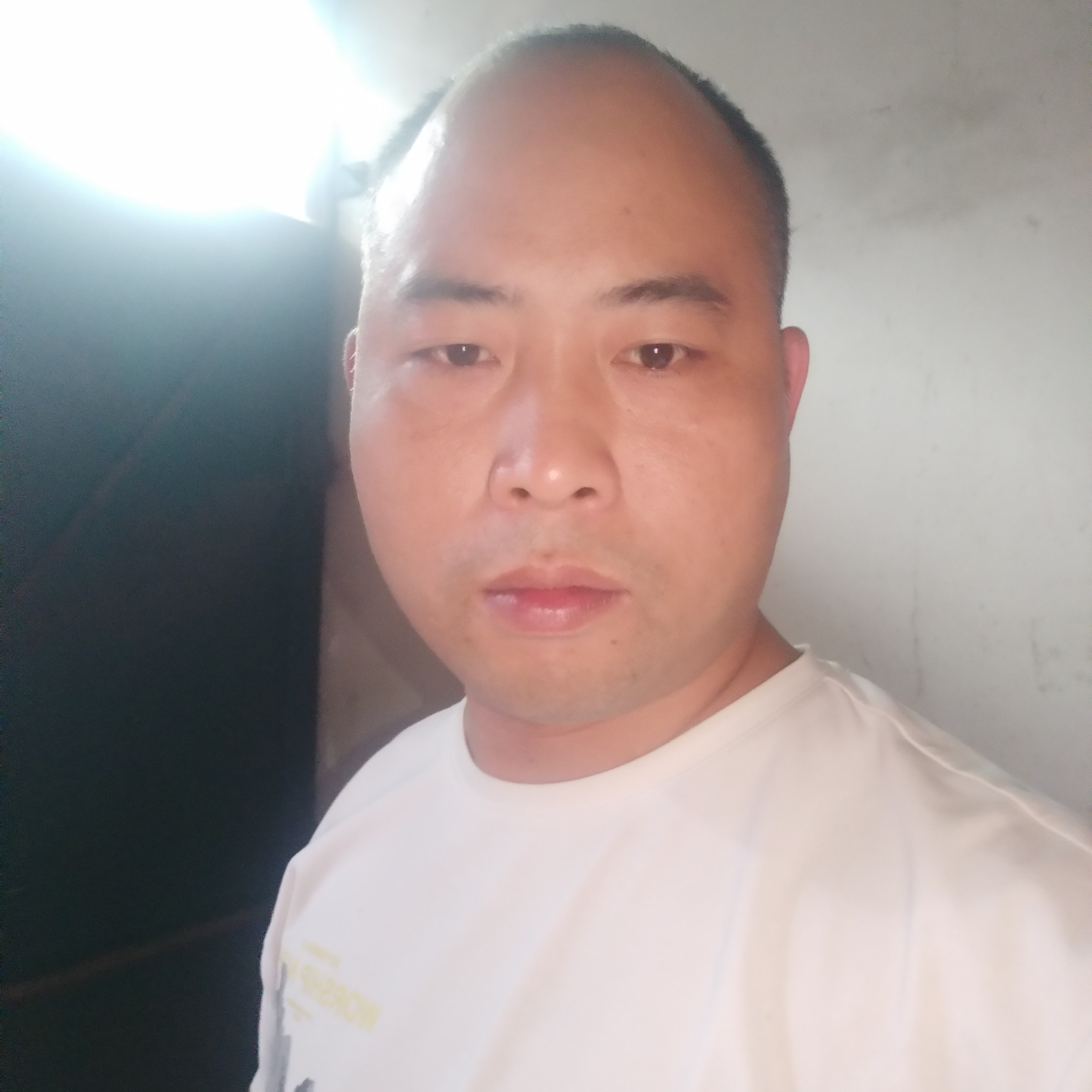 微风捉影的照片
