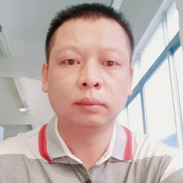 羽毛和难过的照片