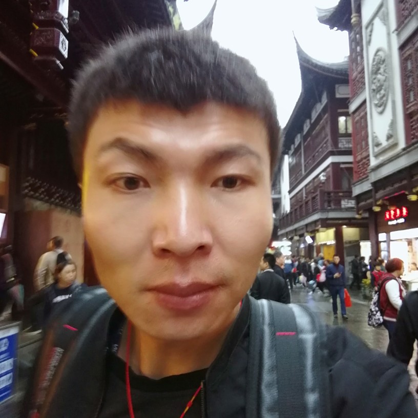 丢脸了幸福的猪的照片