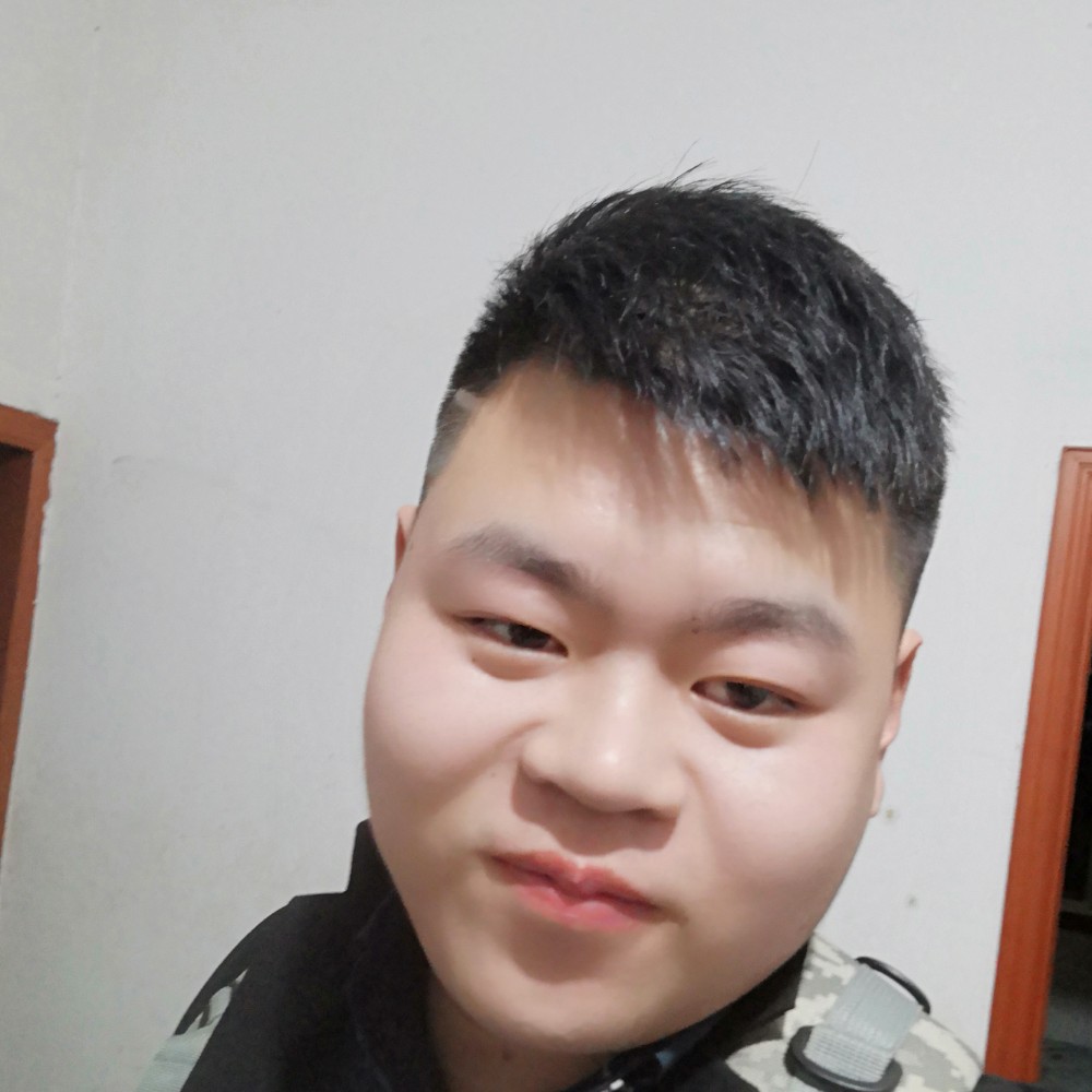 和影子博弈的照片