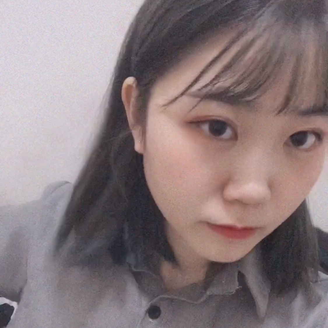 鹿上的莎子的照片