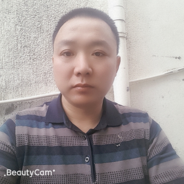 黄蜂笑踏实的照片