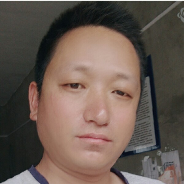 自然那大雁的照片