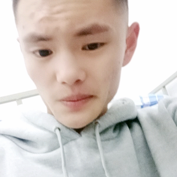 透彻邂逅小海豚的照片