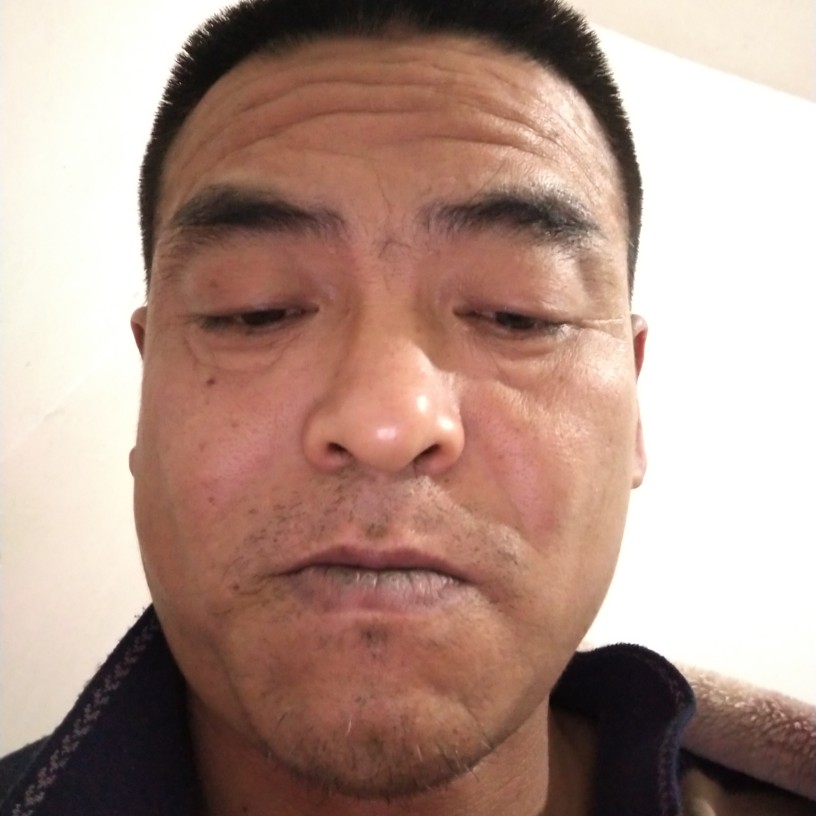 逐风和零碎的照片