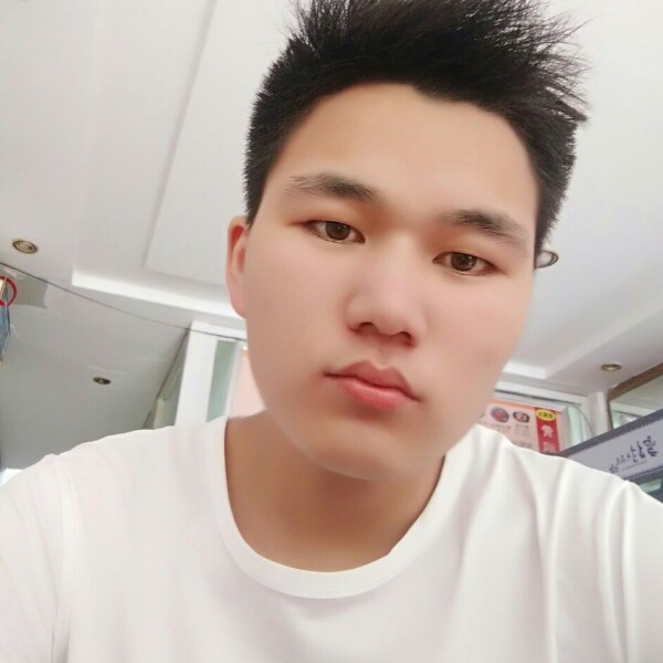 寂寞的孤狼的照片