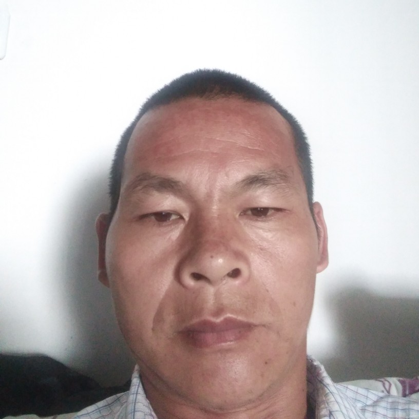 炙热倾心金针菇的照片