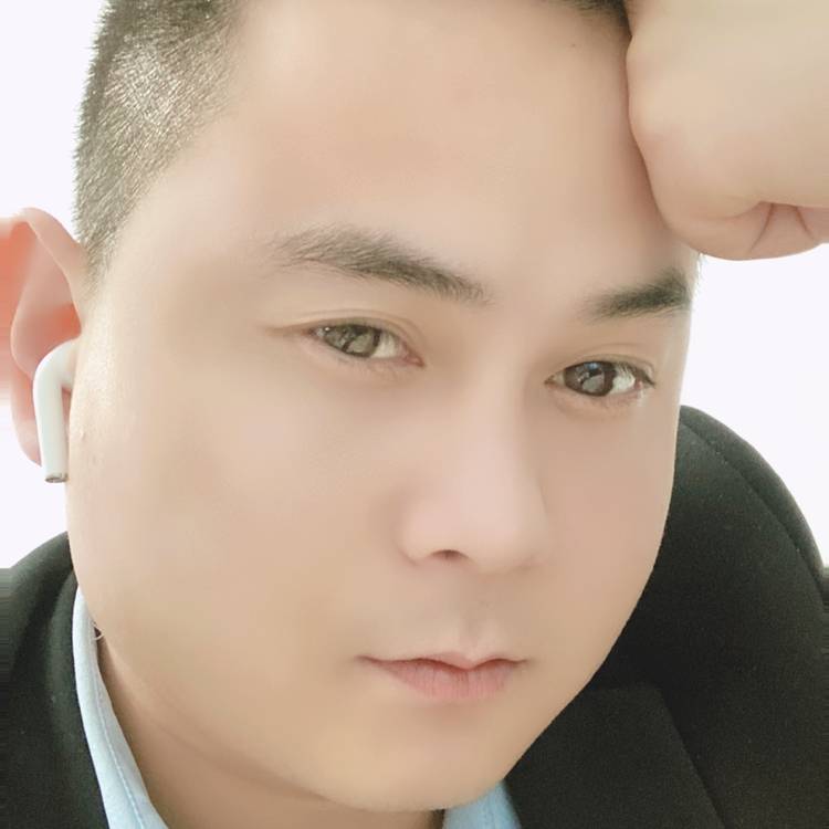黄金芽的照片