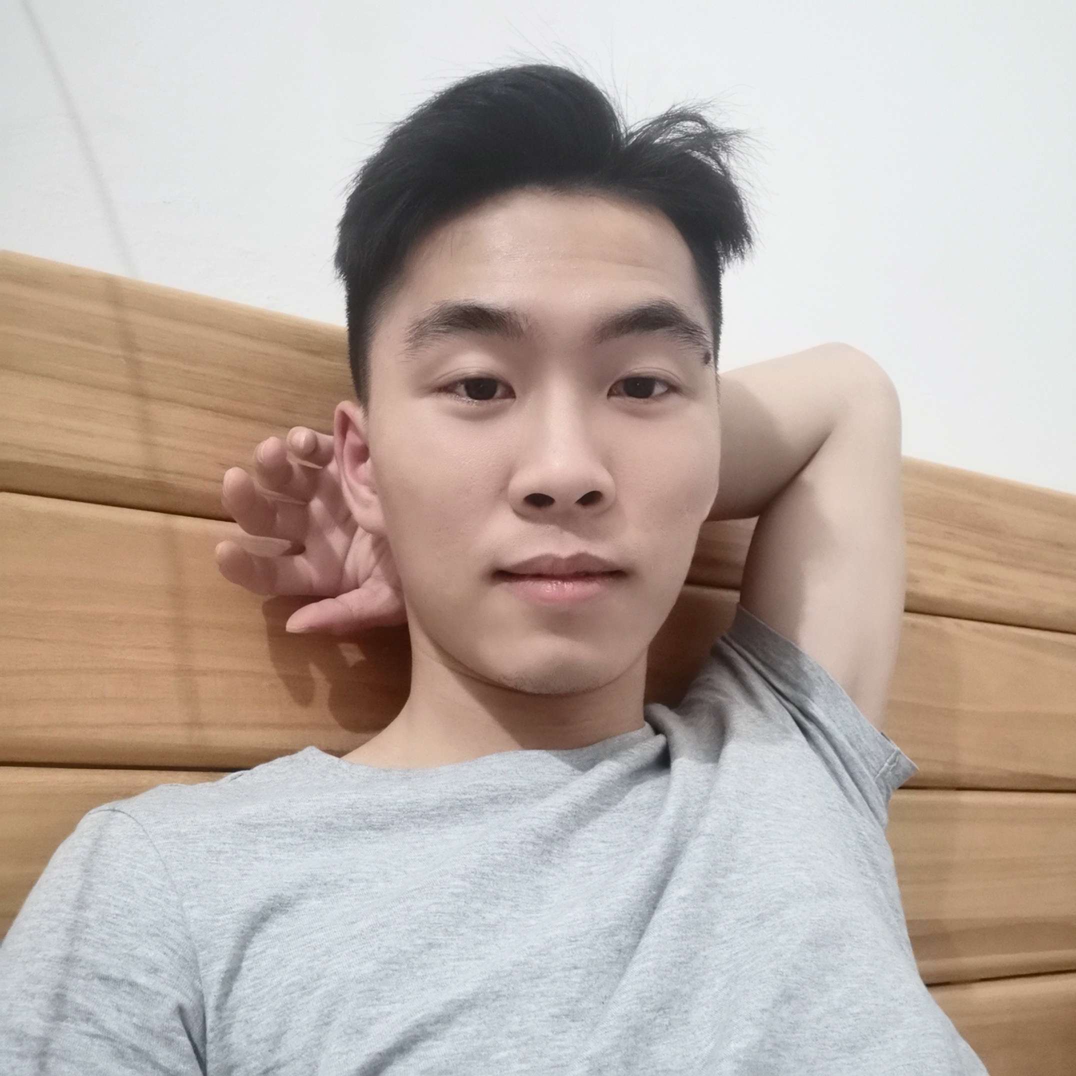 妩媚方树叶的照片