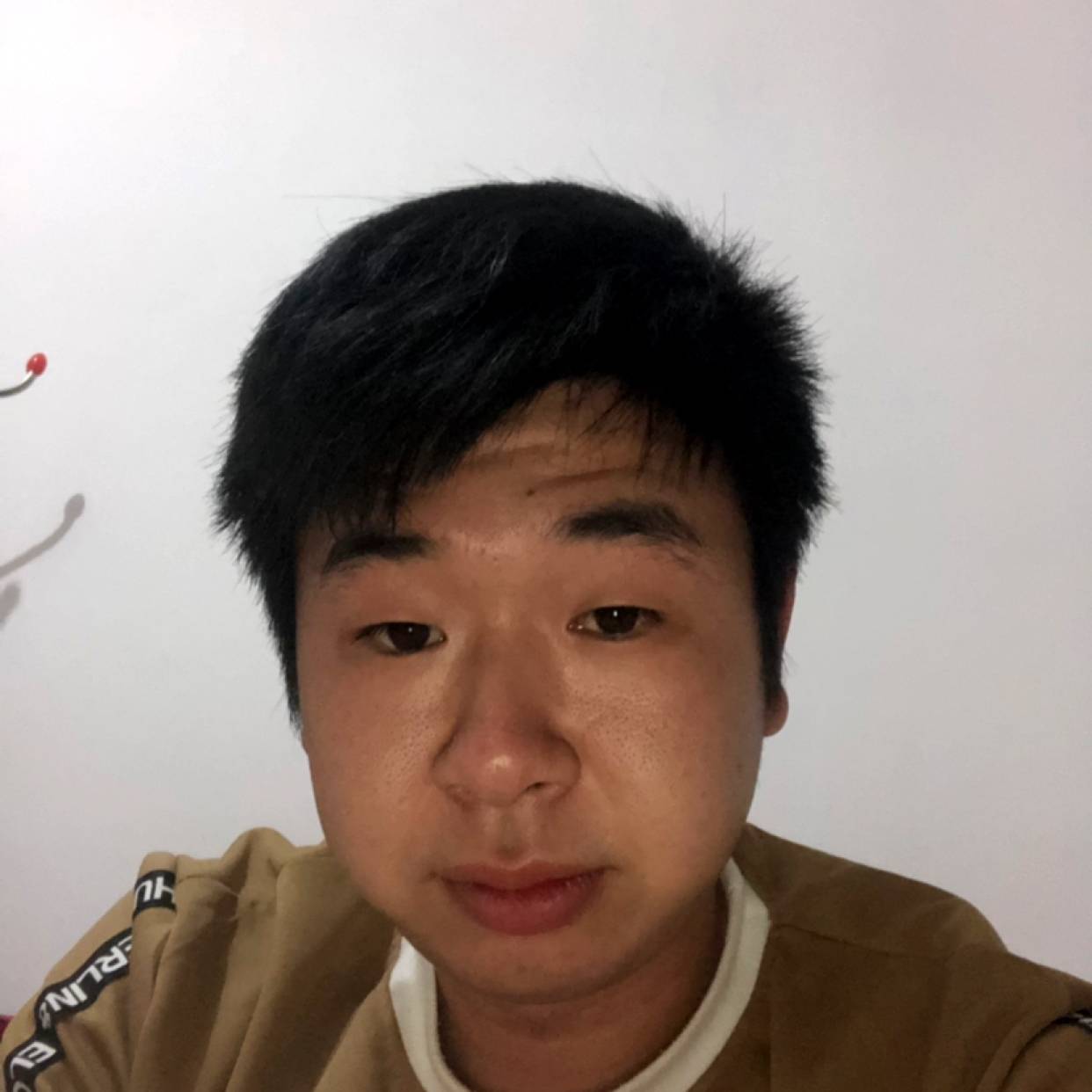 大米放弃安静的照片