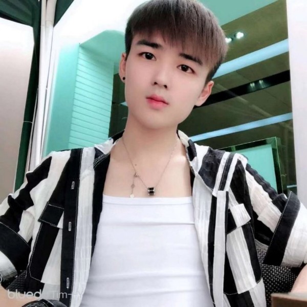 小海豚那调皮的照片