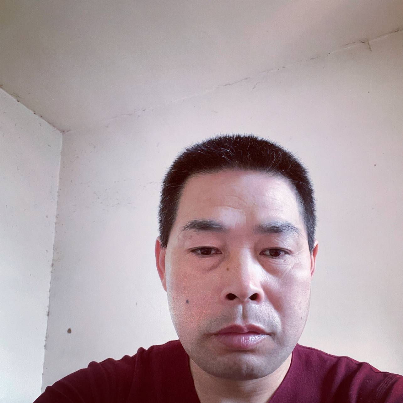 敏感的星月的照片