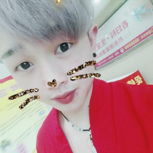外向给鸵鸟的照片