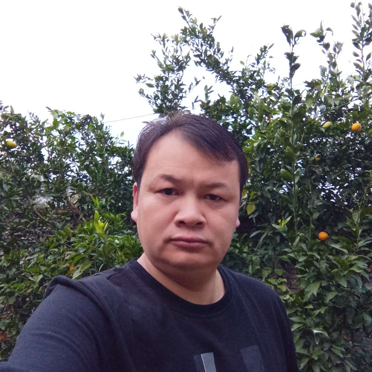 猎豹爱深情的照片