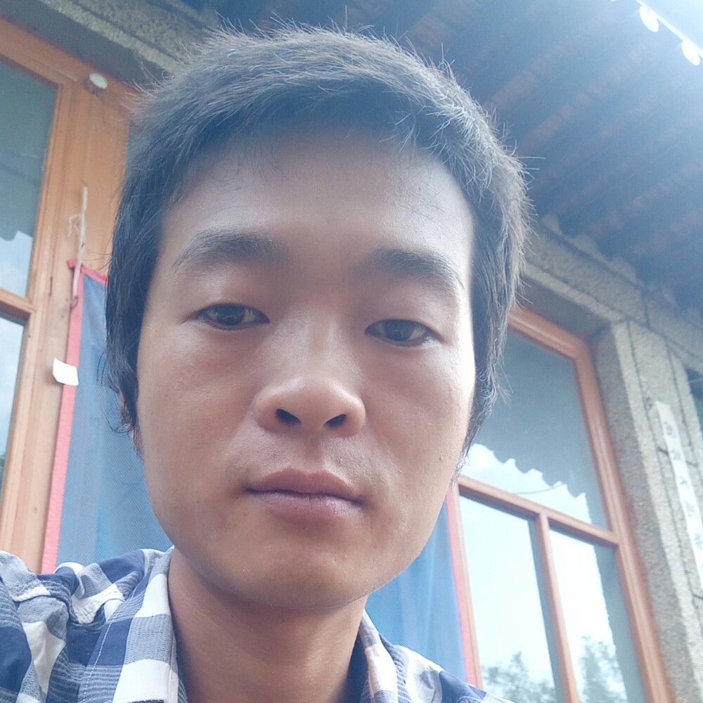 感动爱黄豆的照片