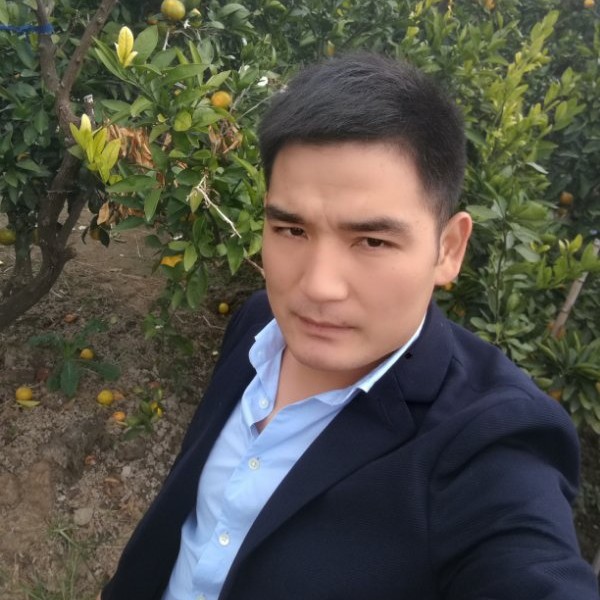 不听话的苦恋流沙的照片