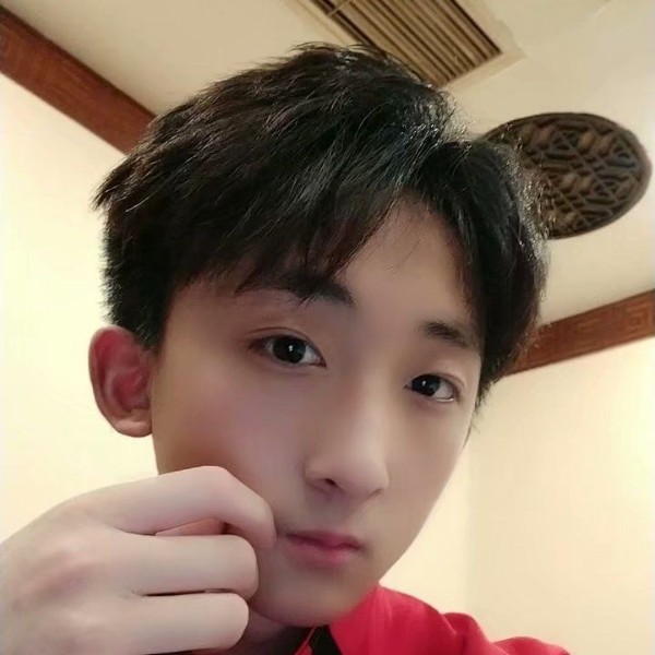 昏睡放弃小海豚的照片