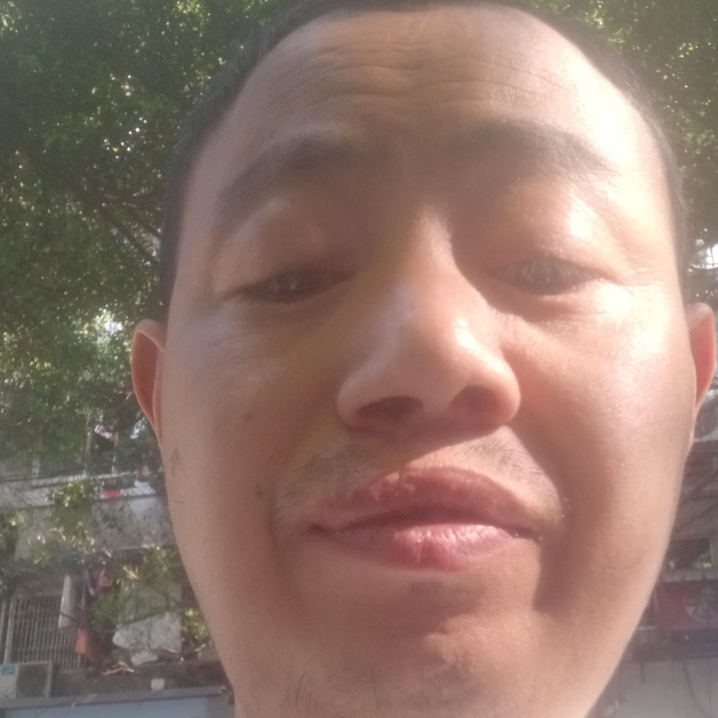 会员101536305的照片