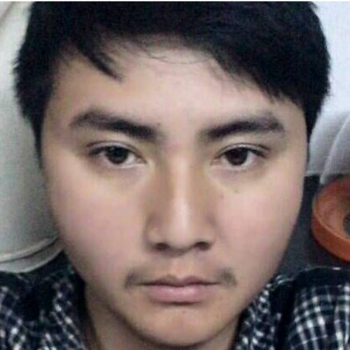 独行的毛毛虫的照片