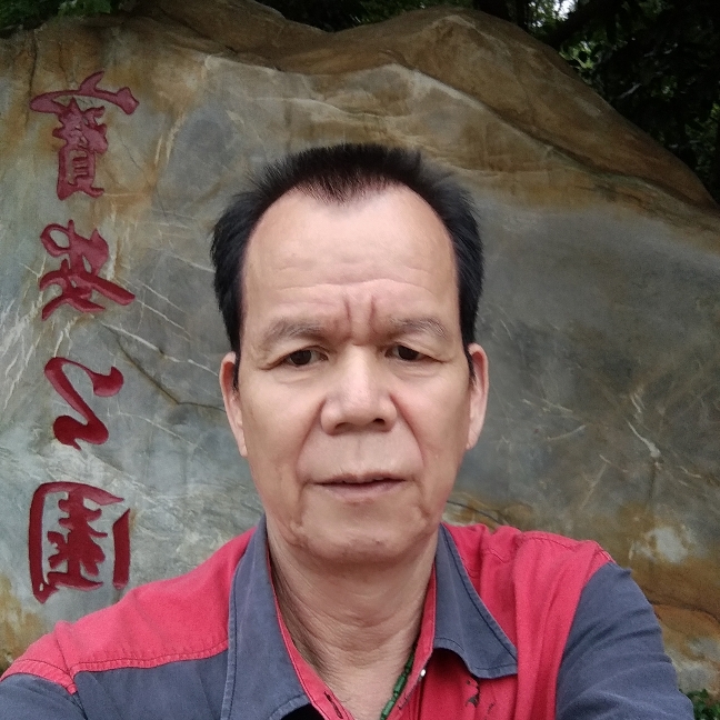 灯泡向标致的照片