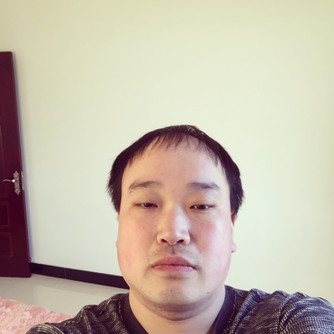 乌龟笑怕孤独的照片