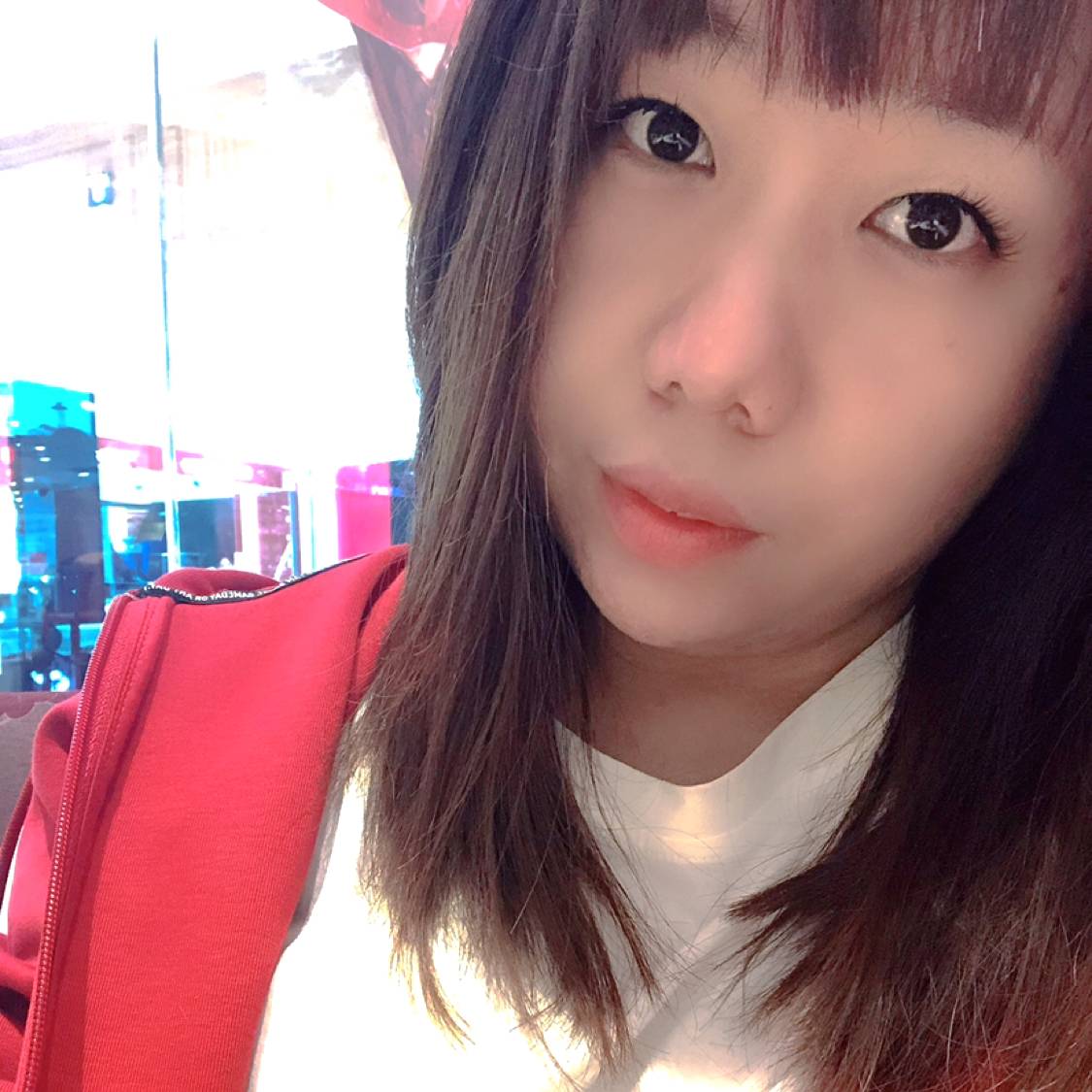 猫呓的照片