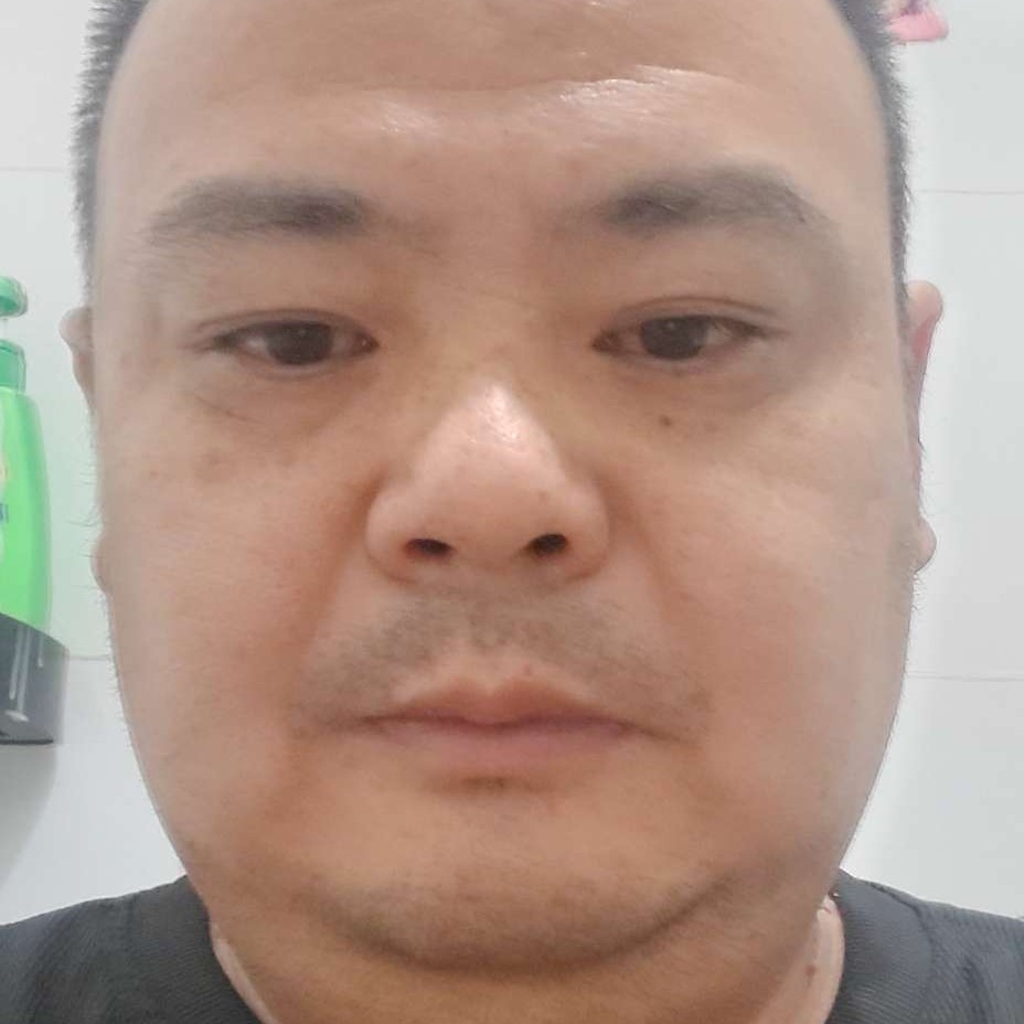 龙猫倾心疯狂的照片