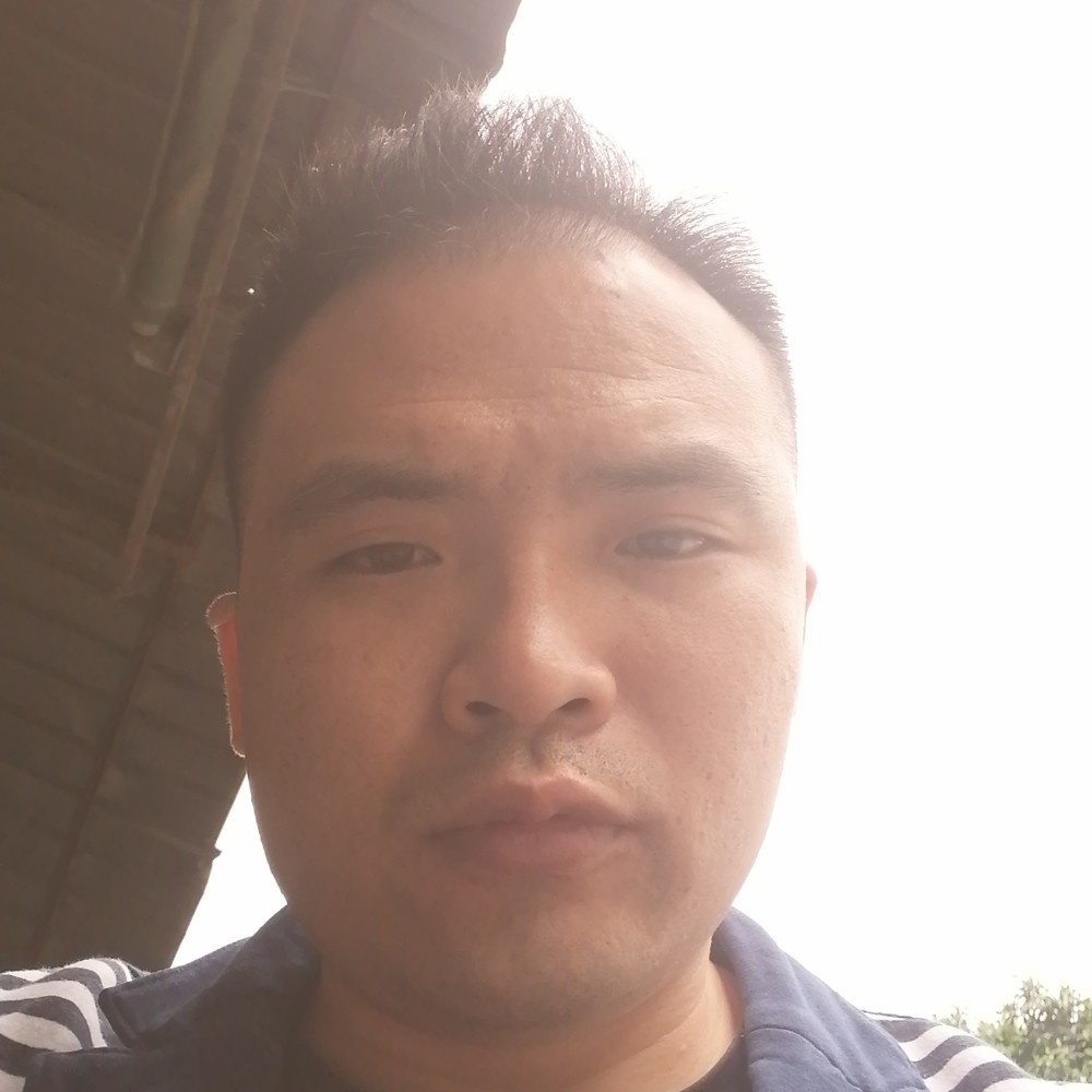 萝卜丝炒青菜的照片