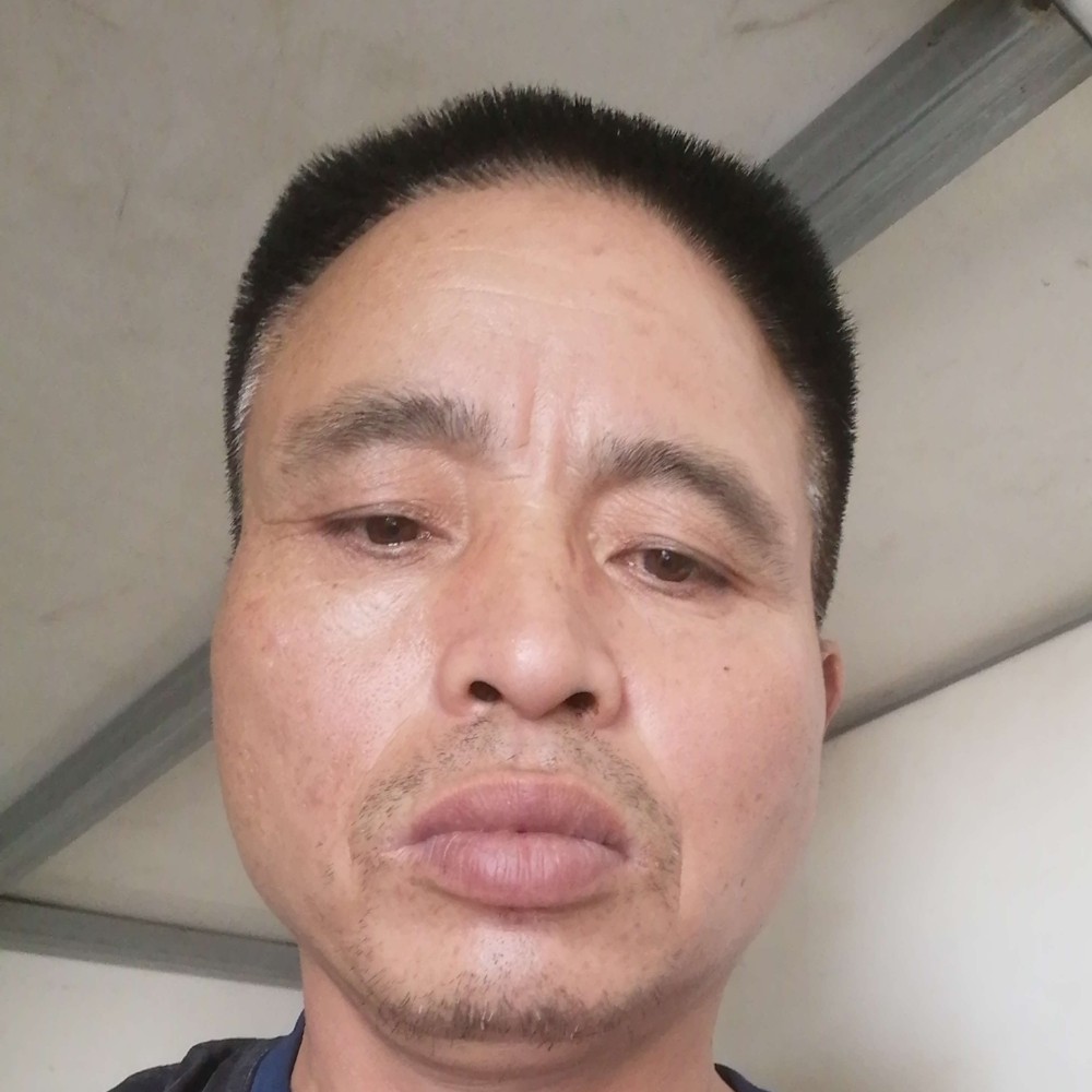 洁净就小蜜蜂的照片