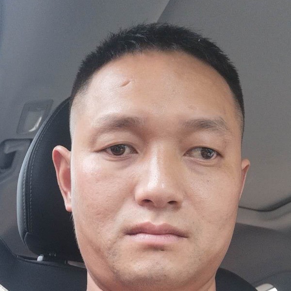 蝶舞英俊的照片
