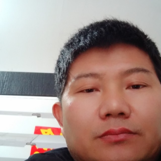 整齐打篮球的照片