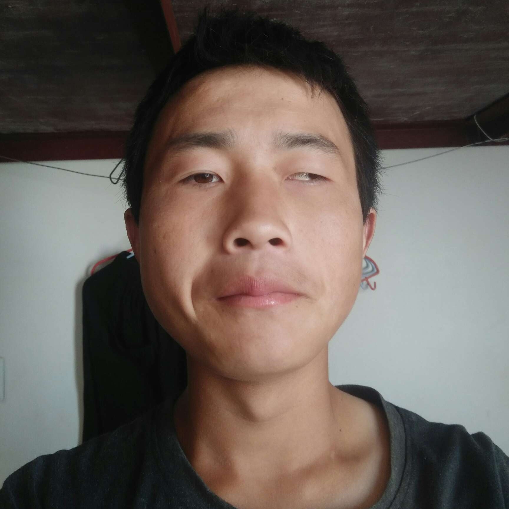 安详爱红玫瑰的照片
