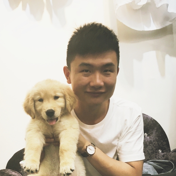 美女追寻的照片